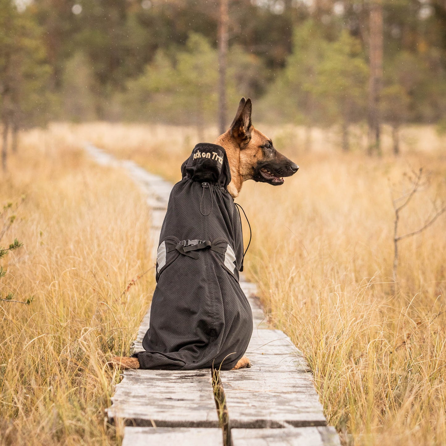 Mesh Dog Coat