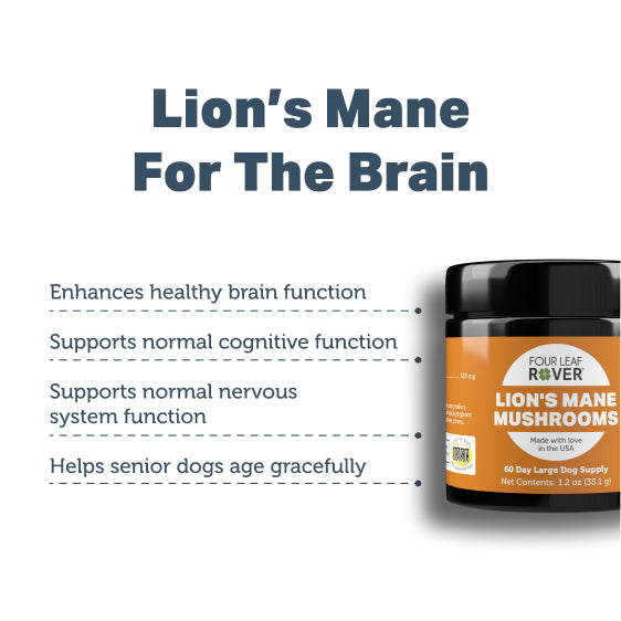 Lions Mane - Organic Mushroom Extract